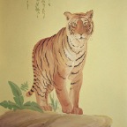 27. Vasily Gladkov Tiger